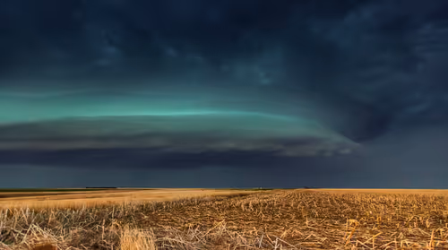Item #5 Media