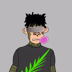 Papa Daba Ape #2179