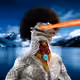 253