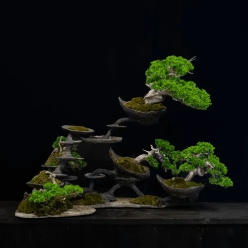 BONSAI NFT