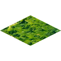 Land Plot (50, 75)