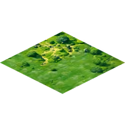 Steps' KINGDOM (72, 52)