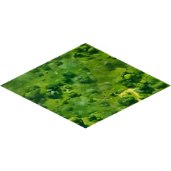 Land (60, 72)