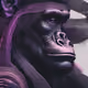 Ape VW mix #546