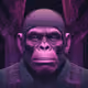 Ape VW mix #469