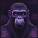 Ape VW mix #52