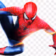 Spider Base