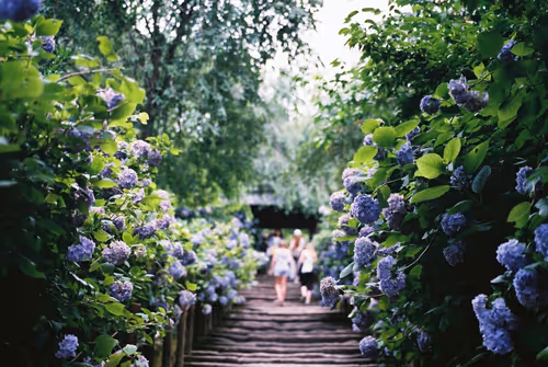 Item #1 Media