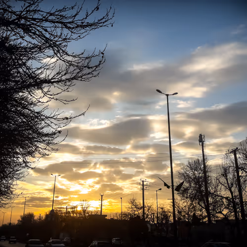 Sunset Through The Trees 2