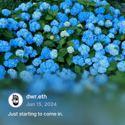 DWR Cast #f83cecde - Posted at 06/15/24 03:53 PM