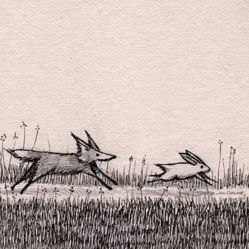 Fox And Rabbit 2 logo