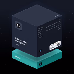 Explore the Multichain