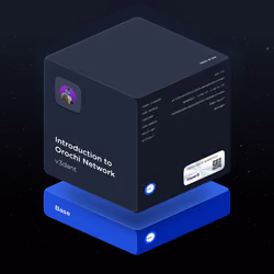 Introduction to Orochi Network
