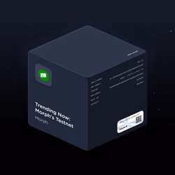 Trending Now: Morph's Testnet