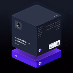 Introduction to Ink Mainnet