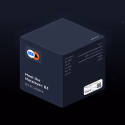Meet the Metalayer: B3