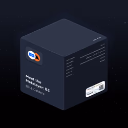 Meet the Metalayer: B3