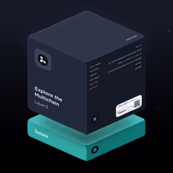 Explore the Multichain