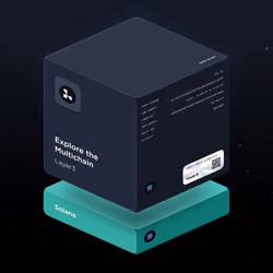Explore the Multichain