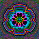 29