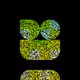 81