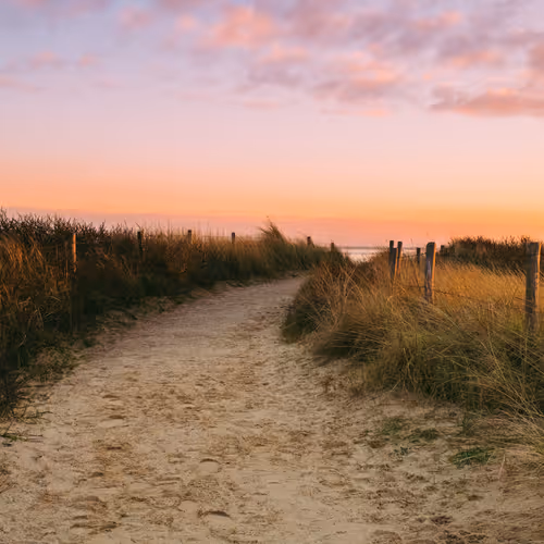 Where The Dunes Lead