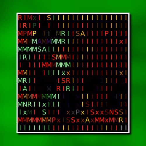 The 0xmxxnparis Project