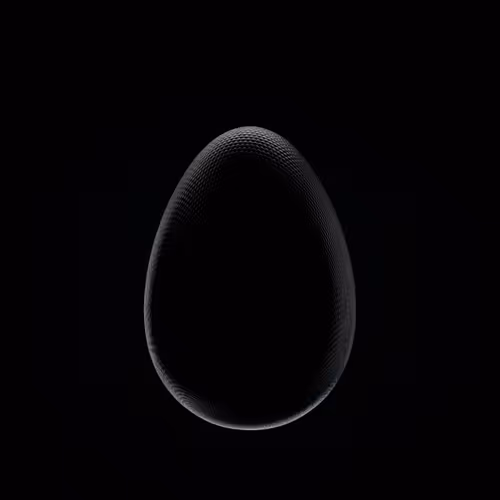Dodo 63