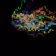 2000