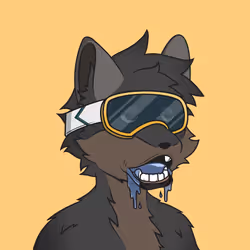 Fair Market Fox #237