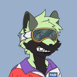 Fair Market Fox #253