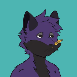 Fair Market Fox #952