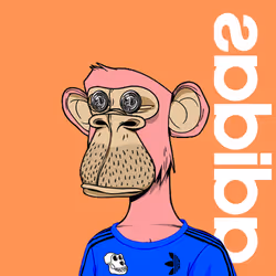 338
