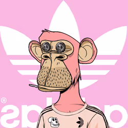 203