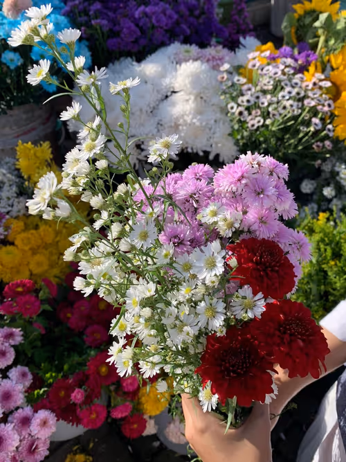 Item #50227395809119002820664469006064930908129456433389831764189331470700800638977 Media