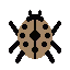 Beetle Shinobi #60