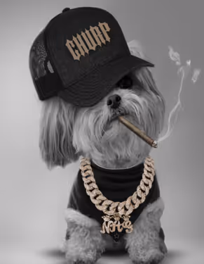 Dog Ass Nigga #1