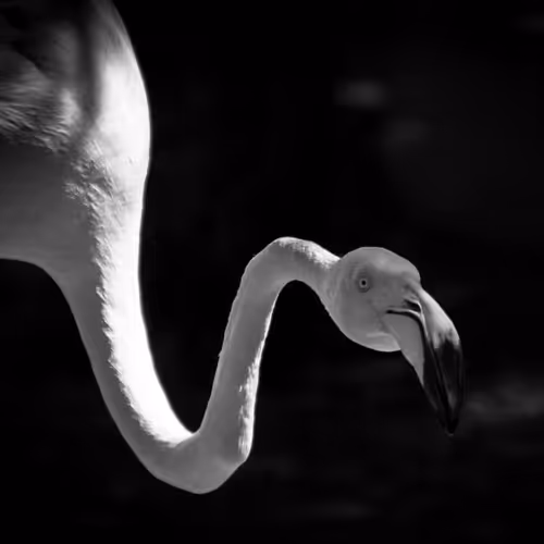 70