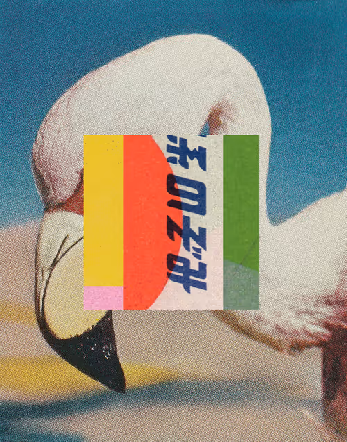 Item #9 Media
