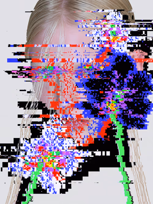Faces in Flux