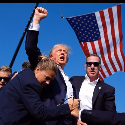 Freedom  #1