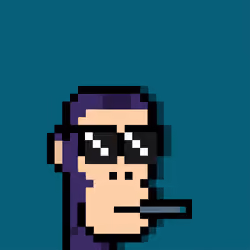 APE PUNKS #214