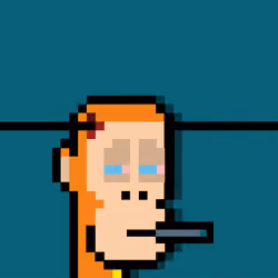 APE PUNKS #253