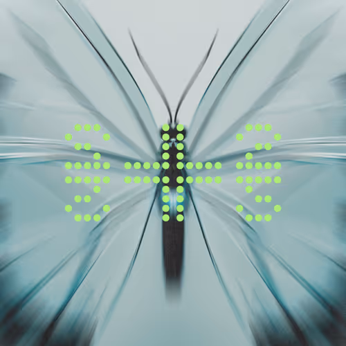 F.BS 001 – Rebirth