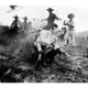 Rodeo posts