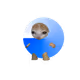 Base Kitty