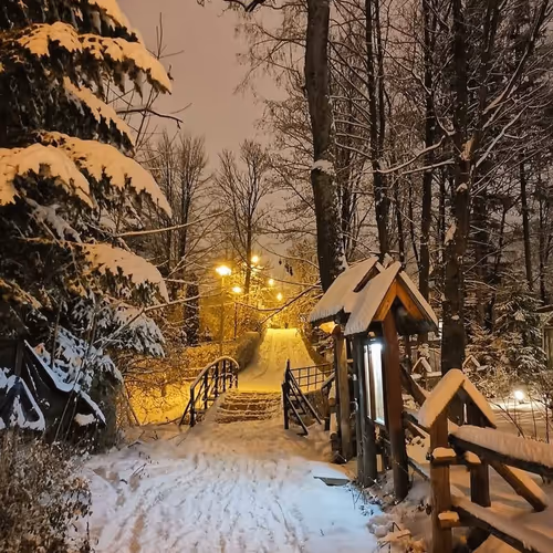 winter