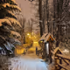 winter