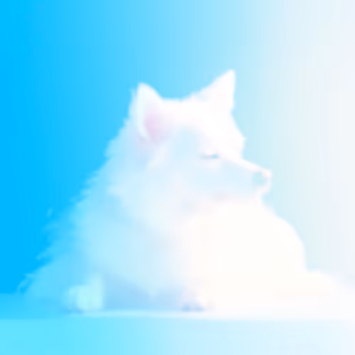 Item #15 Media