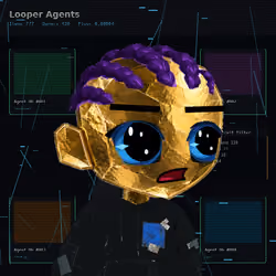 Looper #3161